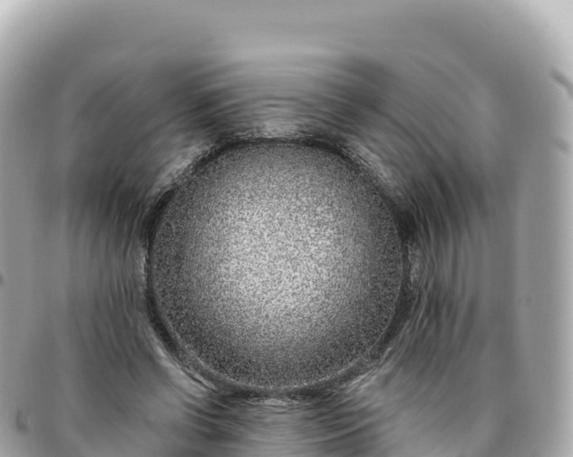 X0000095900542200801251226