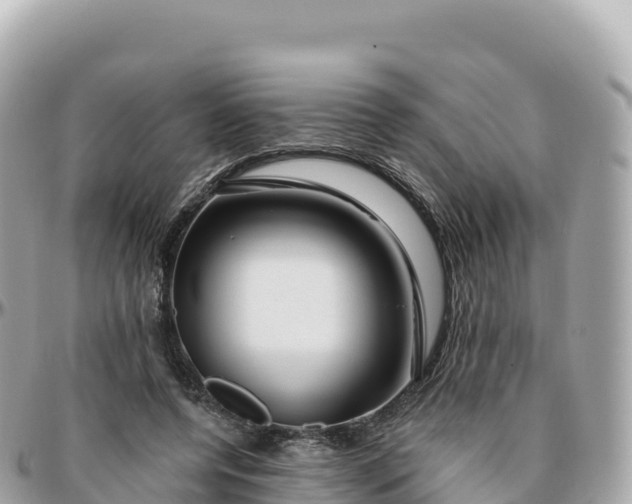 X0000095900544200801251226