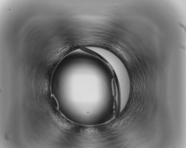 X0000095900546200801251226