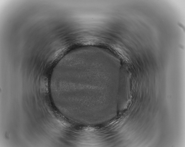 X0000095900547200801251226