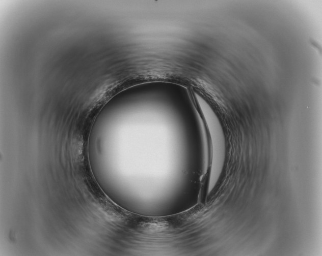 X0000095900548200801251226