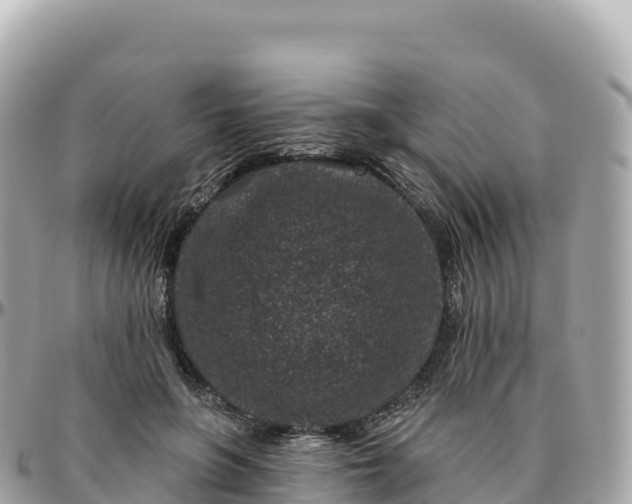 X0000095900551200801251226