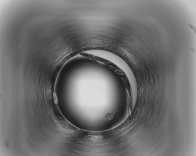 X0000095900552200801251226