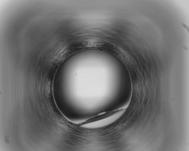 X0000095900554200801251226