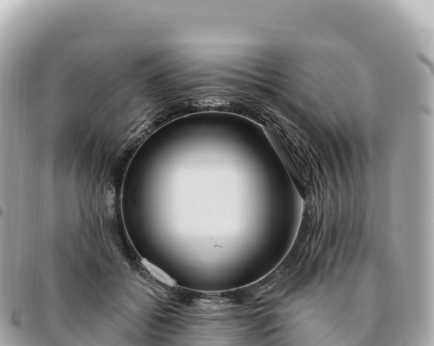 X0000095900556200801251226