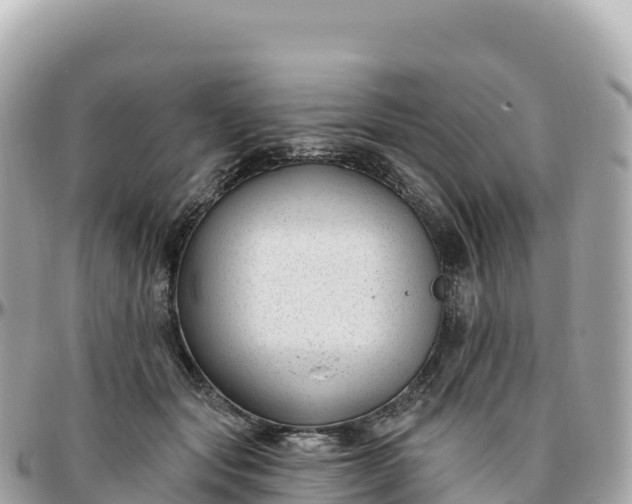 X0000095900557200801251226