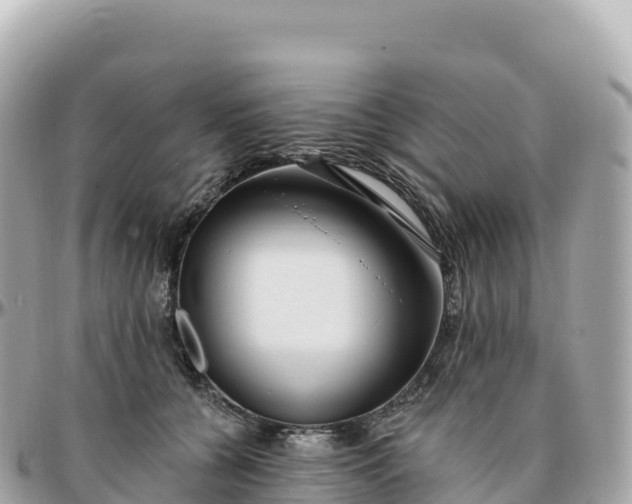 X0000095900560200801251226