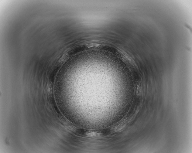 X0000095900561200801251226