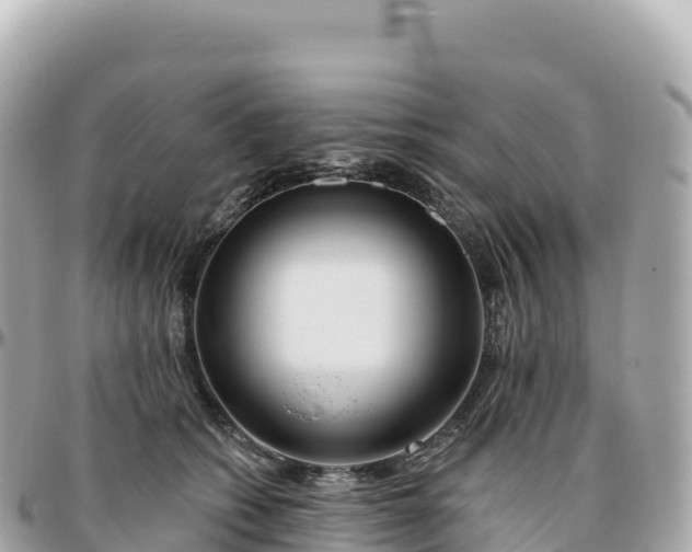 X0000095900562200801251226