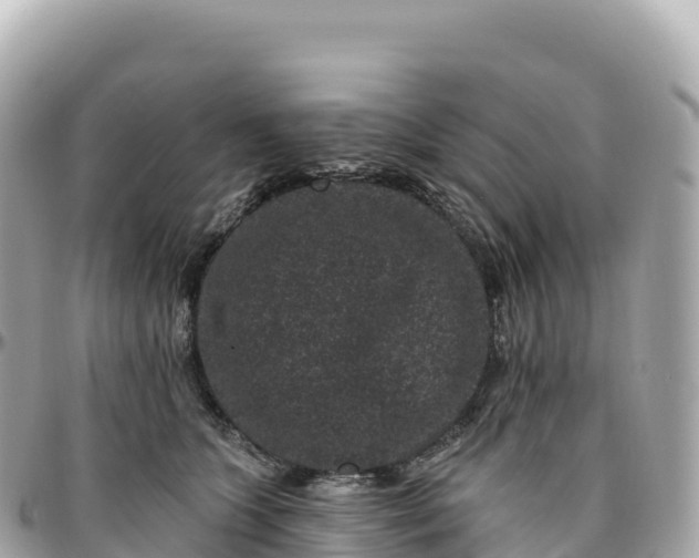 X0000095900563200801251226