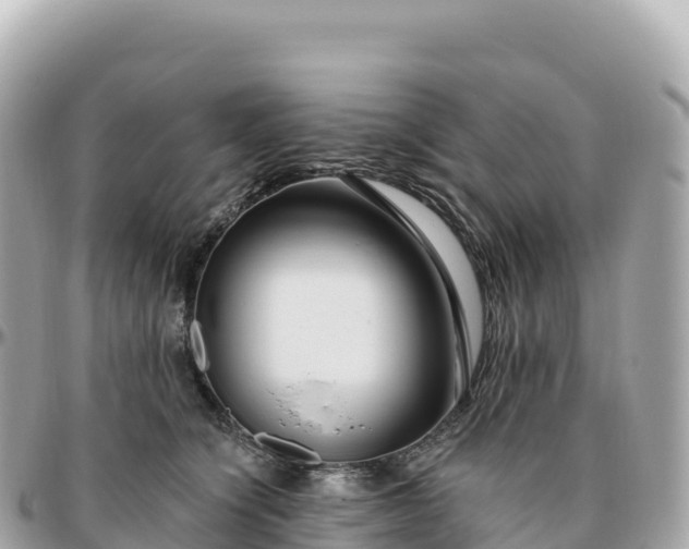 X0000095900564200801251226