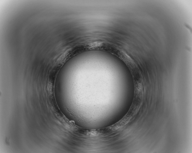 X0000095900565200801251226