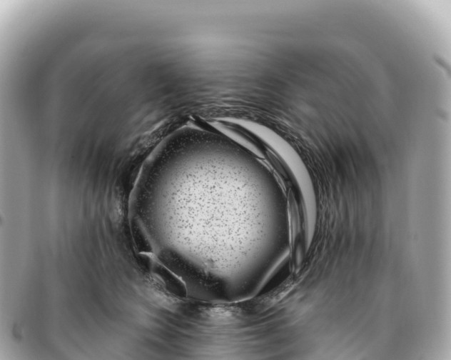 X0000095900566200801251226