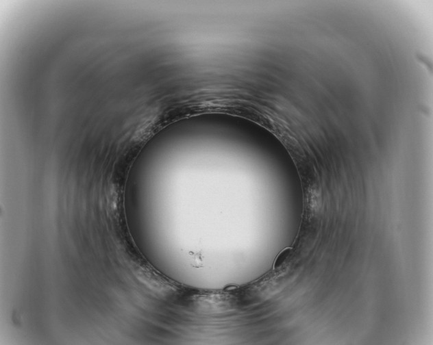 X0000095900567200801251226