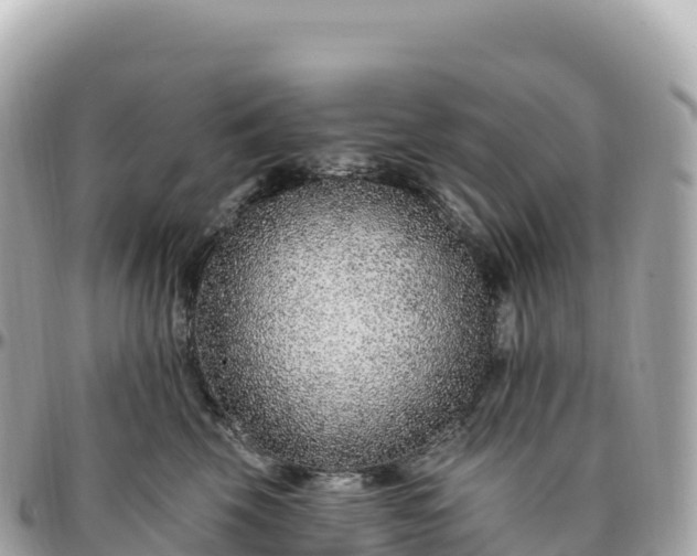 X0000095900569200801251227