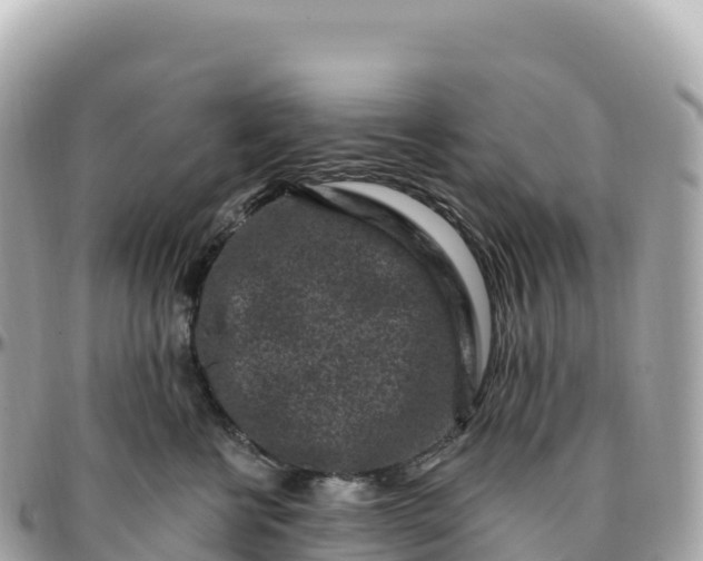 X0000095900570200801251227