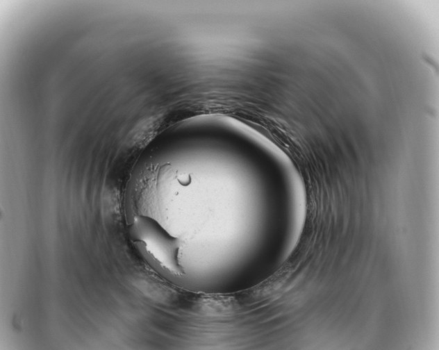 X0000095900571200801251227