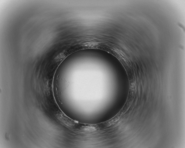 X0000095900572200801251227