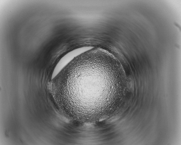 X0000095900573200801251227