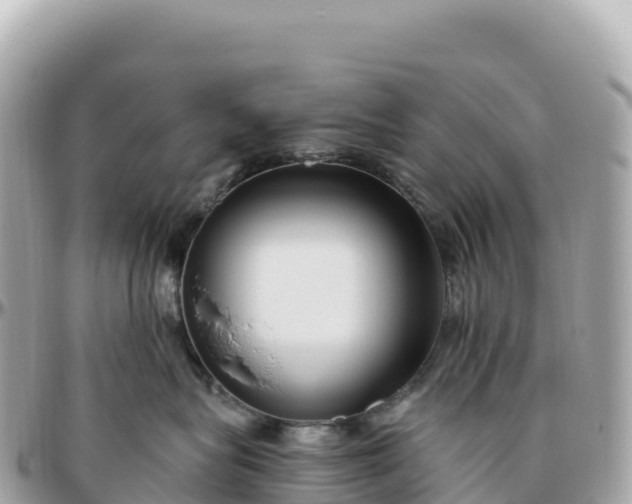 X0000095900575200801251227