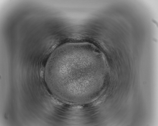 X0000095900576200801251227