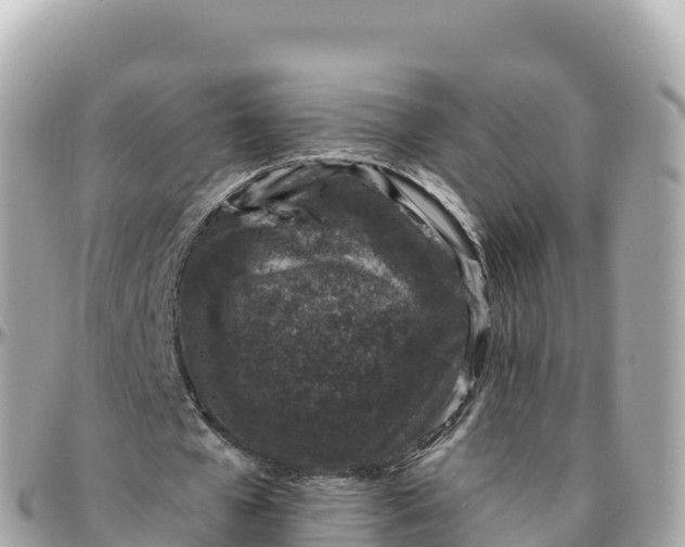 X0000095900577200801251226