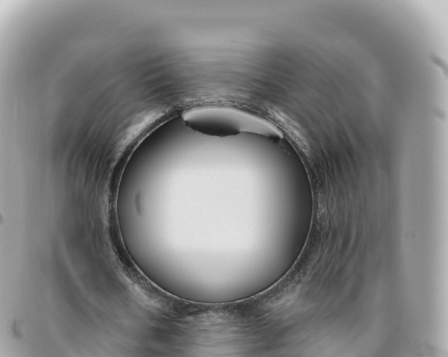 X0000095900578200801251226