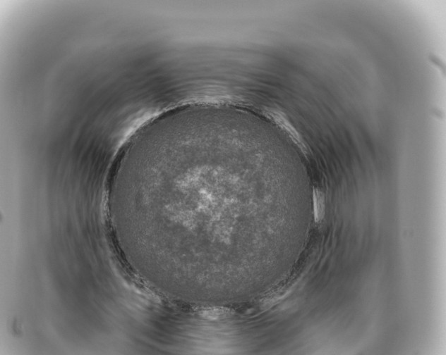 X0000095900579200801251226