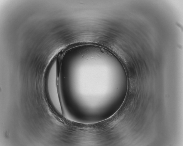 X0000095900580200801251226