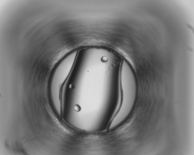 X0000095900581200801251226