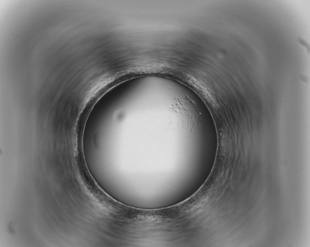 X0000095900582200801251226