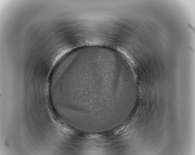 X0000095900583200801251226