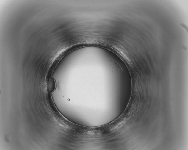 X0000095900584200801251226