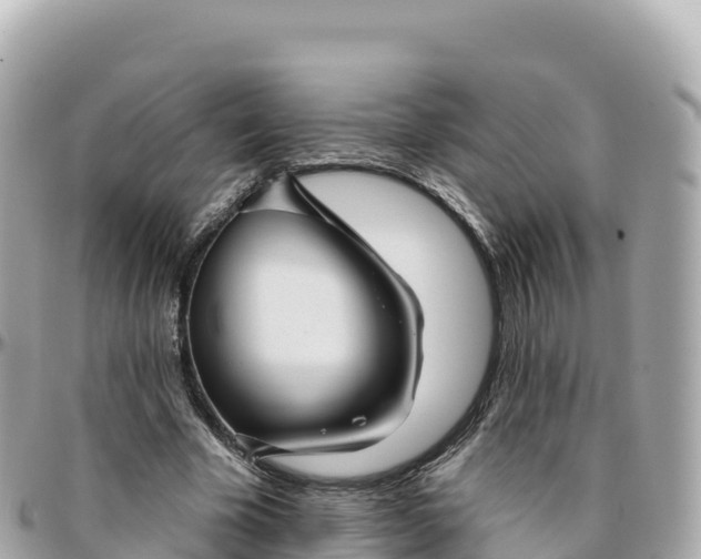 X0000095900585200801251226