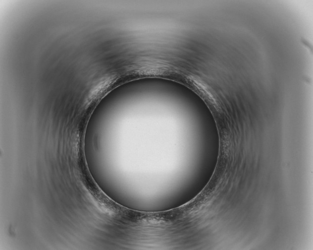 X0000095900586200801251226