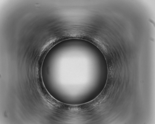 X0000095900587200801251226