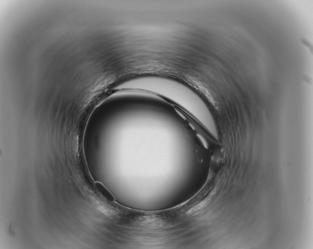 X0000095900589200801251226