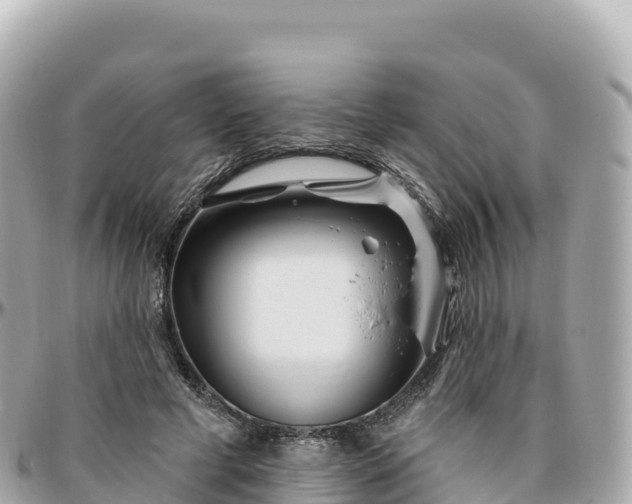 X0000095900593200801251226