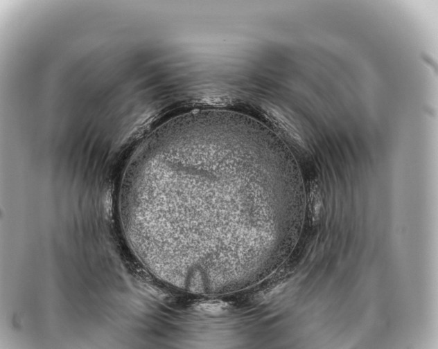 X0000095900595200801251226