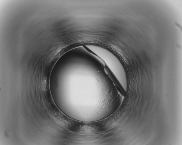 X0000095900596200801251226