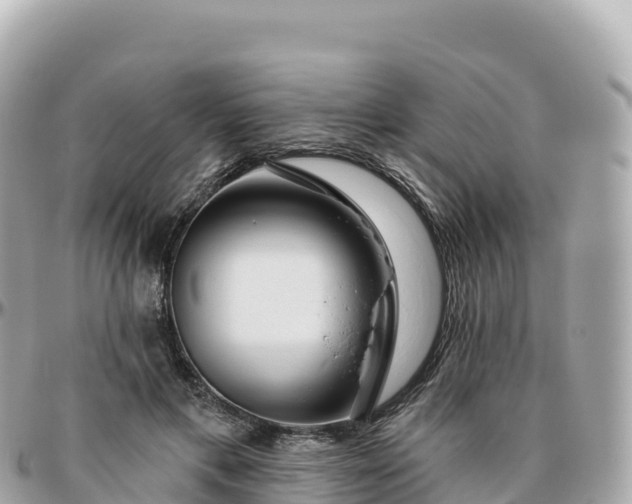 X0000095900597200801251226