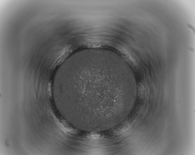 X0000095900598200801251226