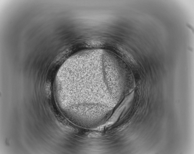 X0000095900599200801251226