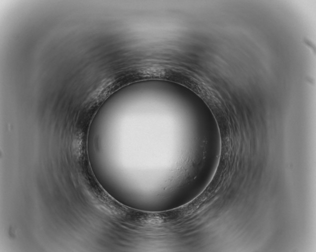 X0000095900600200801251226