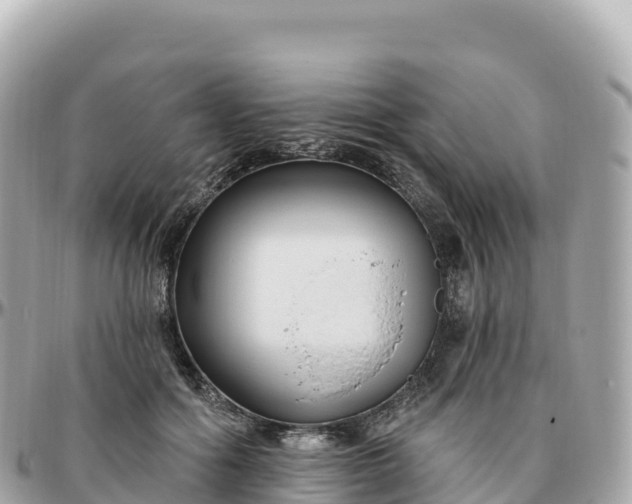 X0000095900602200801251226