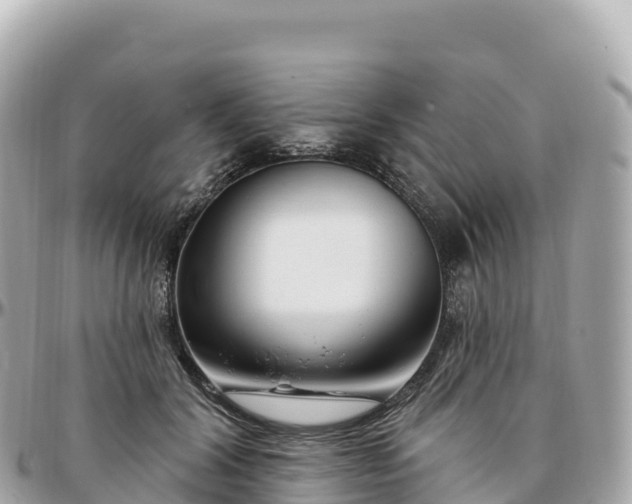 X0000095900604200801251226