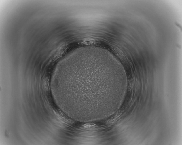 X0000095900606200801251226