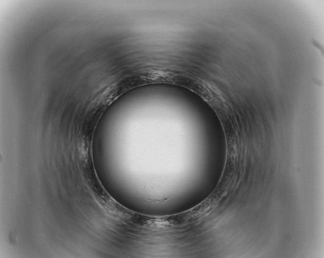 X0000095900607200801251226