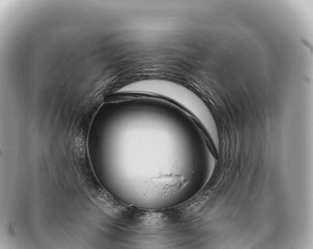 X0000095900609200801251226