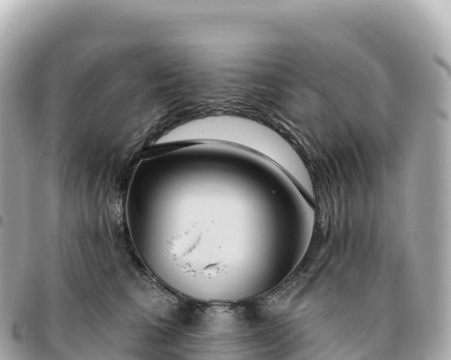 X0000095900613200801251225